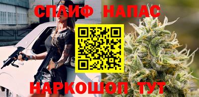 прущие грибы Бердск