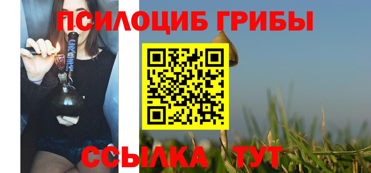 Галлюциногенные грибы GOLDEN TEACHER  Вход с VPN  Галлюциногенные грибы Psilocybine cubensis  Тавда 